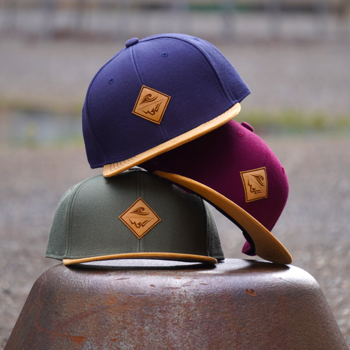 Snapback - Wave and Mountain
